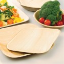 Assiettes rectangulaires biodégradables en feuille de palme 25 pièces