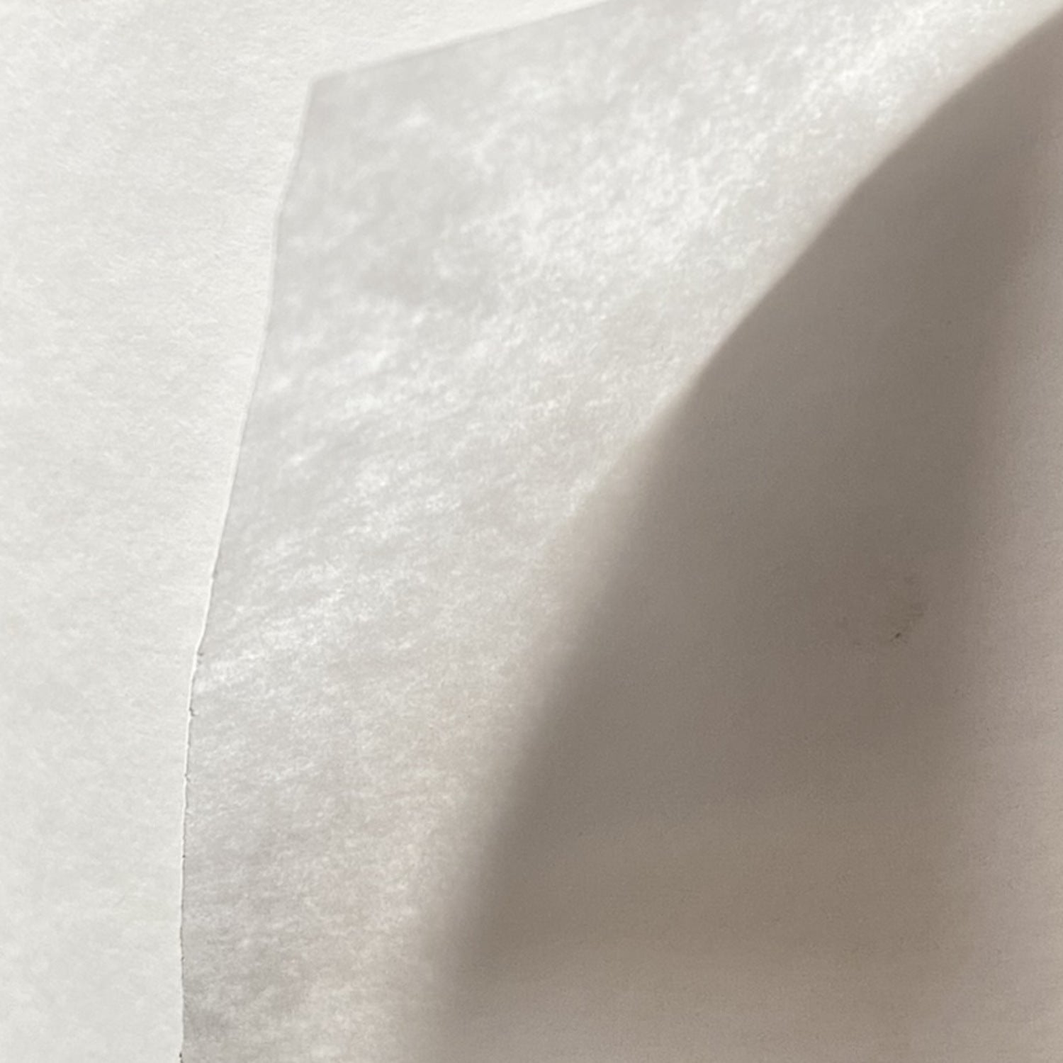 Papier pergamentine en rouleau "Wetpack" 60cm